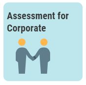 Assessment for companies