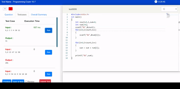 Online coding environment for hiring software developers